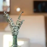 Garabata Apartament