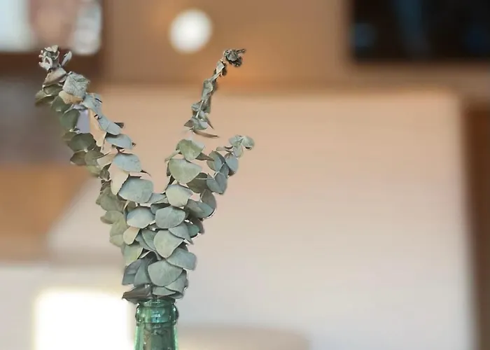 Garabata Apartamento